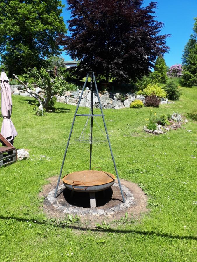 Rotbuche Tannenberg